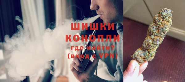 сатива Алзамай