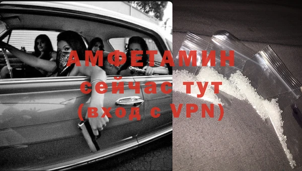 сатива Алзамай