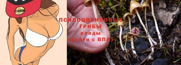 a pvp Алексеевка