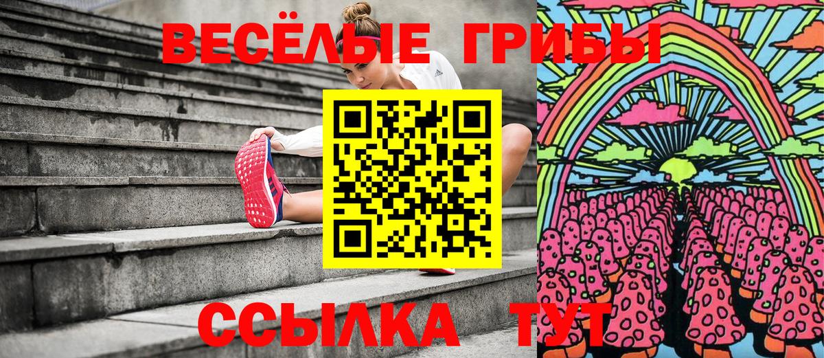 Псилоцибиновые грибы Psilocybine cubensis Выкса